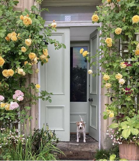 Kitchen Larder, Painter And Decorator, Front Door Entrance, Farrow And Ball, Green Earth, David Austin Roses, Garden Photography, Metallic Wallpaper, Exterior Wood