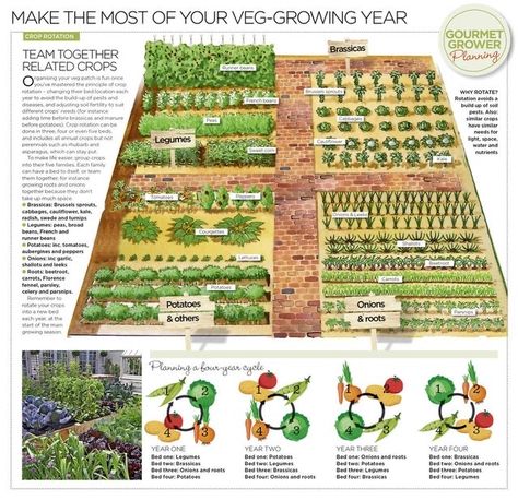 Garden Crops Ideas, Garden Crop Rotation, Vegetable Garden Planner, Regenerative Agriculture, Vegetable Garden Planning, Victory Garden, Potager Garden, Permaculture Gardening, Garden Design Layout