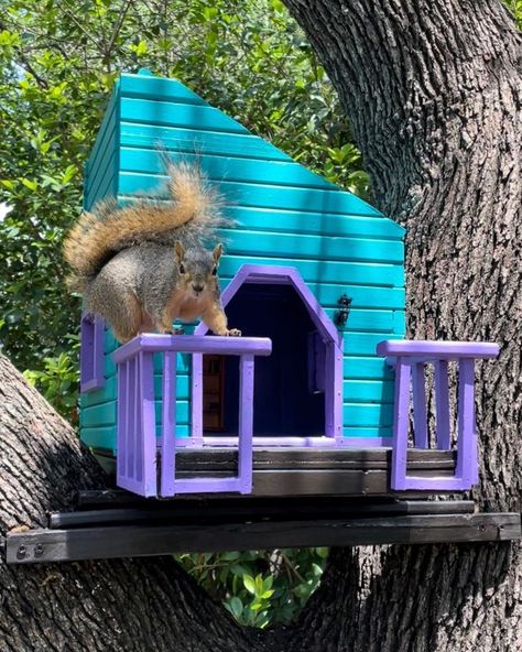 Squirrels, Squirrel Houses Diy Squirrel House, Squirrel House Plans, House Plans Single Story, Squirrel Feeder Diy, Unique Roof, Squirrel House, Squirrel Home, Outdoor Rabbit Hutch, Squirrel Feeders