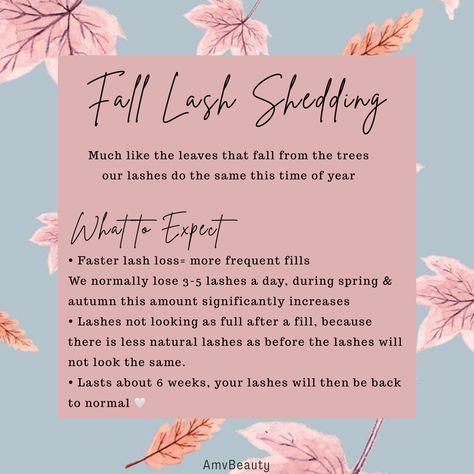 Fall lash shedding Fall Lash Quotes, Fall Lash Extensions, Lash Extensions Post Ideas, Lash Extension Posts, Lash Post Ideas, Lash Policies, Lash Shed, Lash Shedding, Lash Marketing