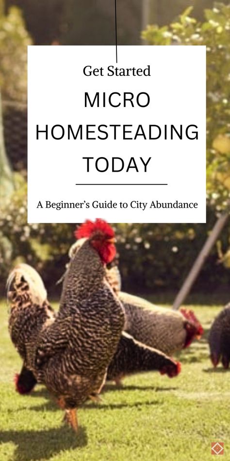 Want to grow food in the city? This beginner’s guide to micro homesteading teaches you how to use small spaces effectively for backyard abundance. With tips on container gardening, sustainable practices, and urban homesteading basics, you’ll have everything you need to start. Save this pin to learn easy, productive ways to start a homestead in the city! Homestead In The City, Micro Homesteading, Start A Homestead, Sustainable Homestead, Learn Skills, Grow Food, Urban Homesteading, Easy A, Garden Journal