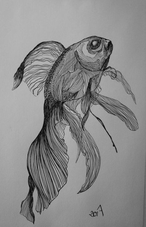 Fish Pen Drawing, Fish Ink Drawing, Goldfish Sketch, Goldfish Drawing, Easy Drawing Ideas For Beginners, Drawing Ideas For Beginners, Fish Sketch, Easy Drawing Ideas, Ink Pen Art