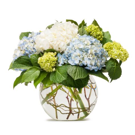 How To Grow Hydrangea in South Texas | Scent & Violet | flowers and gifts | Houston, TX Green Hydrangea Bouquet, Hydrangea Flower Arrangements, Hydrangea Arrangements, Hydrangea Bouquet, Green Hydrangea, Order Flowers Online, Easter Flowers, Same Day Flower Delivery, Deco Floral