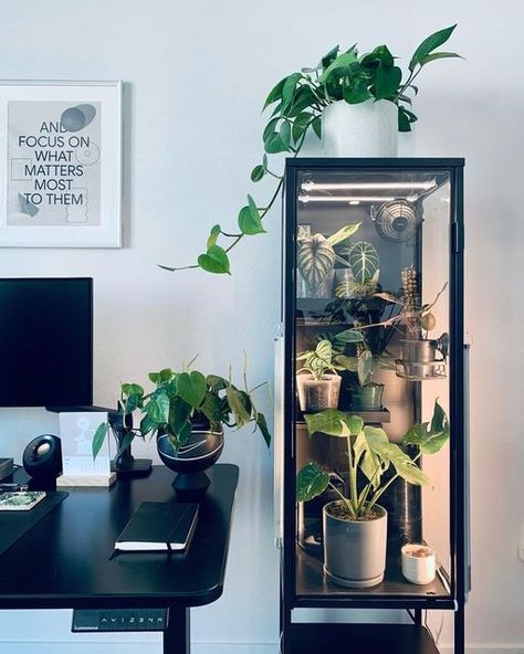 6,278 Likes, 22 Comments - IKEA Greenhouse Cabinet (@ikeagreenhousecabinet) on Instagram: "📷: @driptjungle About this cabinet: My home office wouldn’t be complete without this cabinet by my desk. It’s made working from home much bearable, where I can enjoy the company of some greenery as I work on my projects :) This Rudsta tall was a perfect size, and featured a metal backing which made magnetic shelving easy to implement! While it is on the smaller side, it’s been fun “Tetrising” around to Plant Cupboard, Plant On Top Of Cabinet, Ikea Plant, Green House Cabinet, Glass Cabinet Plants, Rudsta Tall Greenhouse, Plants Organization Indoor, Ikea Rudsta Tall Greenhouse, Plant Desk