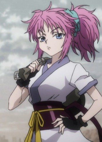 Hunter Girl, Girl With Pink Hair, Hxh Characters, Hunter Anime, Anime Wall Art, Anime Stickers, All Anime, An Anime, Hunter X Hunter