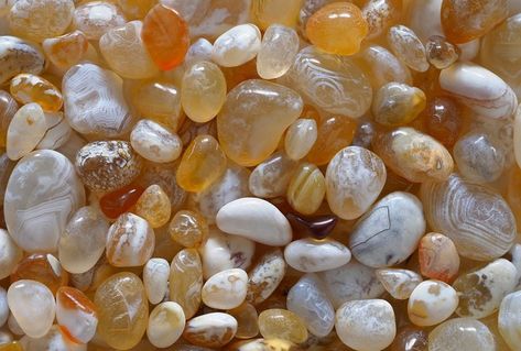 Agate Rock, Types Of Agate Crystals, Agate Hunting, Oregon Agates, Agate Types, Beach Agate Crafts, Beach Agates, Types Of Agate, Agate Jewelry Diy