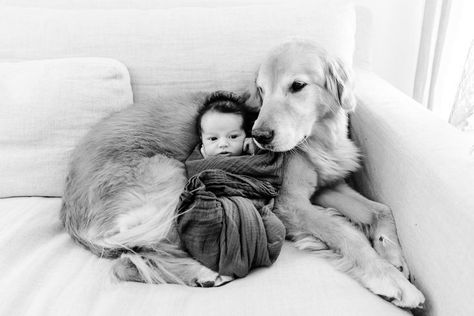 Newborn And Dog, Baby Boy Newborn Pictures, Newborn Photography Boy, Newborn Family Photos, Newborn Baby Photoshoot, Boy Newborn, Baby Sleep Problems, Newborn Baby Photos, Foto Baby