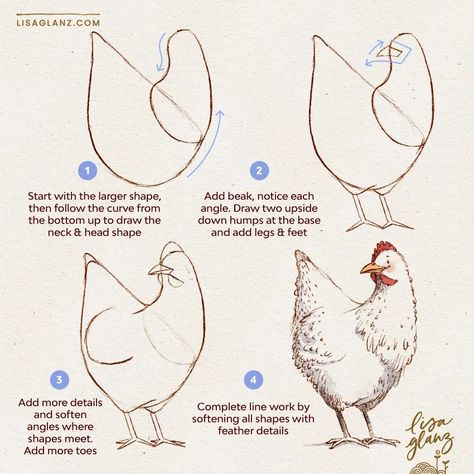 How to draw a cute chicken 🐓 This one’s a bit more involved, but if you break down each section into shapes, it’s makes it less intimidating 😀 . . #howtodraw #learntodraw #easydrawingtutorial #howtodrawcute #howtodrawanimals #howtodrawbirds Drawing A Chicken, Cute Chicken Painting, Cute Chicken Illustration, How To Draw Chicken, Chicken Illustration Cute, Chicken Drawing Illustration, Drawing How To, How To Draw A Chicken, Chickens Illustration