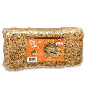 Straw Bale, Straw Bales, Art & Craft Kit, Fall Outdoor Decor, Fall Decorations Porch, Fall Outdoor, Craft Store, Farmhouse Chic, Joanns Fabric And Crafts