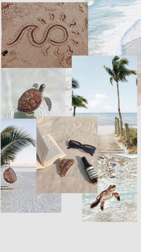 Nuetral beach collage Beach Aethstetic Wallpaper, Beach Aethstetic, Beach Collage Wallpaper, Beachy Wallpapers, Hd Aesthetic, Beach Collage, Beach Sunset Wallpaper, Pretty Wallpapers Tumblr, Cute Blue Wallpaper