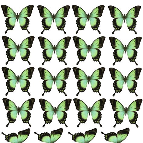 its printable good for diy butterfly bouquet or you can print it for stickers!!! Butterfly Bouquet, Butterfly Printable, Diy Butterfly, Background Wallpaper For Photoshop, Green Butterfly, For Stickers, Artificial Plants, Background Wallpaper, Fashion Sketches