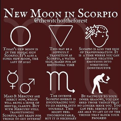 Noemi Cogo (@noemi_c84) • Foto e video di Instagram New Moon Scorpio, New Moon Blessings, Scorpio Images, Moon Phases Meaning, Scorpio New Moon, Super New Moon, New Moon In Scorpio, Moon In Scorpio, Scorpio Zodiac Facts