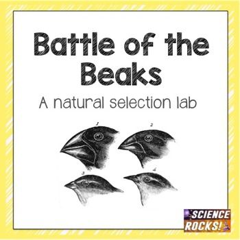 Battle of the Beaks- a natural selection activity Natural Selection Activity, Life Science Activities, Survival Of The Fittest, Biology Classroom, 7th Grade Science, Biology Labs, Food Types, High School Biology, Secondary Science