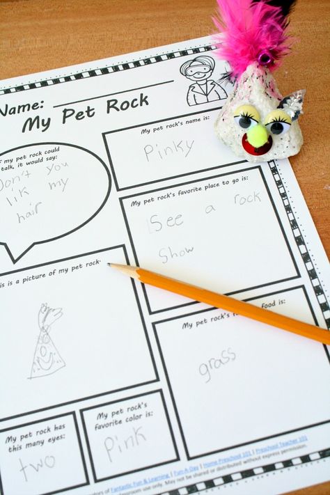 Pet Rock Activities, Rock Your School Day Ideas, Pet Rock Ideas, Pet Rocks Craft, Rock Experiments, Nature Crafting, November Preschool, Craft Toddler, Classroom Pets