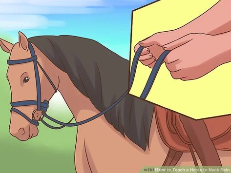 How to Teach a Horse to Neck Rein: 15 Steps (with Pictures) How To Teach A Horse To Neck Rein, Horse Education, American Quarter Horse Association, Horse's Neck, Horse Info, American Quarter Horse, Horse Training, Horse Head, The Horse