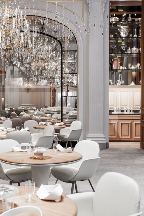 Alain Ducasse Au Plaza Athénée - Picture gallery Luxury Restaurant Interior, Bar Restaurant Design, Architecture Restaurant, White Restaurant, Alain Ducasse, Decoration Restaurant, Luxury Restaurant, Modern Restaurant, Cafe Interior Design