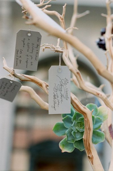 Wishing Tree Wedding, Wedding Branches, Boda Diy, Japanese Wedding, Wishing Tree, Boda Mexicana, Wedding Activities, Wedding People, Tree Photography