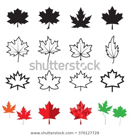 Small Canada Tattoo, Tiny Maple Leaf Tattoo, Simple Maple Leaf Tattoo, La Tattoos Ideas, Fall Leaves Tattoo, Canadian Tattoo, Canada Tattoo, Medieval Tattoo, Cross Vector