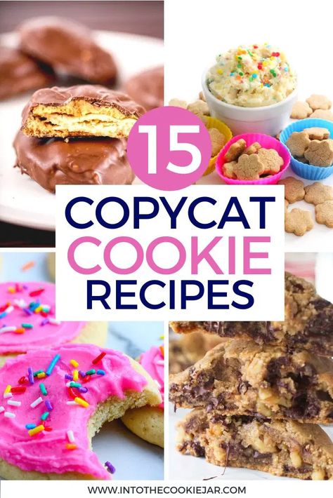 15+ Incredible Copycat Cookie Recipes - Into the Cookie Jar Otis Spunkmeyer Cookies Copycat, Eileens Cookies, Copycat Cookie Recipes, Graham Recipes, Otis Spunkmeyer Cookies, Graham Recipe, Lofthouse Cookie Recipe, Lava Cookies, Recipes Copycat