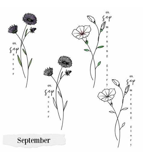 Flower September Tattoo, Tattoo Ideas September Flower, Birthmonth Flower Tattoos September, June Birth Flower Tattoo Fine Line, September Birth Flower Line Drawing, Ink Quotes, Blossom Tree Tattoo, December Birth Flower, September Birth Flower