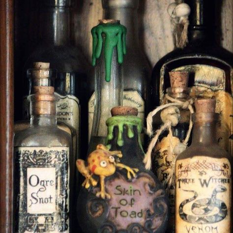 Ingredients. #potions #halloweendecorations #halloweencrafts #homehaunt #witheringheights #lightheartedhalloween Potion Bottles Aesthetic, Potions Cabinet, Potion Aesthetic, Witches Hut, Potion Cabinet, Withering Heights, Witches Potions, Ted Halloween, Making Potions