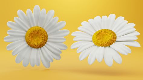 Daisy Flower for Project TVC Zwitsal Baby Liquid Powder Flower 3d, 3d Modeling, Daisy Flower, 3d Art, Art Ideas, Daisy, Plants, Flowers, Art