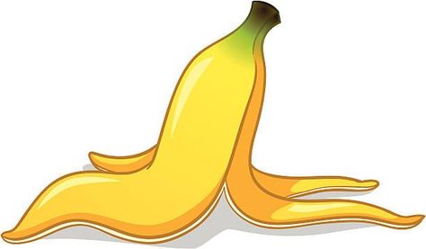 banana-peel-illustration-id163854893 (612×358) Banana Peel Illustration, Banana Peel Drawing, Banana Clipart, Living And Nonliving, Banana Peels, Beauty Procedures, Fruit Peel, Banana Clip, Banana Peel