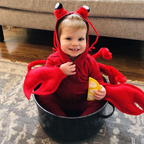 Recreate this easy DIY baby lobster costume by starting with super soft Primary basics. Shop solid color basics for kids & baby all under $25! Lobster Costume Diy, Lobster Outfit, Baby Lobster Costume, Lobster Halloween, Baby Carrier Costume, Crab Costume, Lobster Costume, Sew Halloween Costume