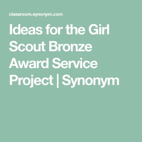 Bronze Award Ideas, Junior Girl Scouts Activities, Troop Beverly Hills, Girl Scout Activities, Award Ideas, Daisy Scouts, Girl Scout Juniors, Bronze Award, Girl Scout Swap