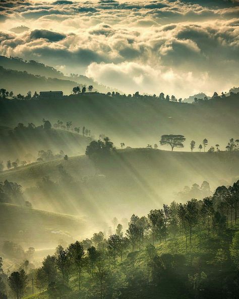 Ooty india Sending Good Vibes, India Photography, We Are Coming, Western Ghats, Ooty, Mountain Vacations, The Blue Mountains, Watch This Space, Incredible India