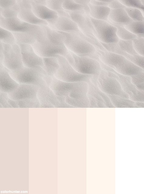 Shellsand+Color+Scheme Color Palette Sand, Pearly White Color Palette, Pearl Color Palette, Ballet White Color Scheme, Creamy Color Palette, Sea And Sand Color Palette, Nuetral Pallete Beach, Cream Color Scheme, Beige Color Scheme