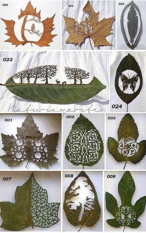 Makes me think of something the elves would do. For a kid or a friend or something. Hantverk Diy, Diy Leaves, Leaf Crafts, Paper Cut Art, Nature Crafts, Kirigami, Leaf Art, Land Art, Wabi Sabi