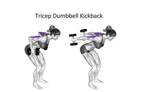 Tricep Dumbbell Kickback is an isolation exercise that is performed from a bent position that is used to increase the strength and size of the triceps. The triceps are the most significant muscles in the upper arm’s back which are responsible for shoulder, elbow, and forearm movement Tricep Dumbbell Kickback is good exercise for it. […] Dumbbell Tricep Kickbacks, Kick Backs Exercise, Triceps Kickback, Back Extension Exercises, Tricep Kickback, Gym Plan, Push Day, Pilates Body, Tricep Extension