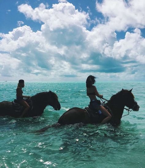 Riding Horse, Dream Travel Destinations, Summer Bucket Lists, Summer Bucket, Blue Skies, Beautiful Places To Travel, Agra, Travel Inspo, Beautiful Horses