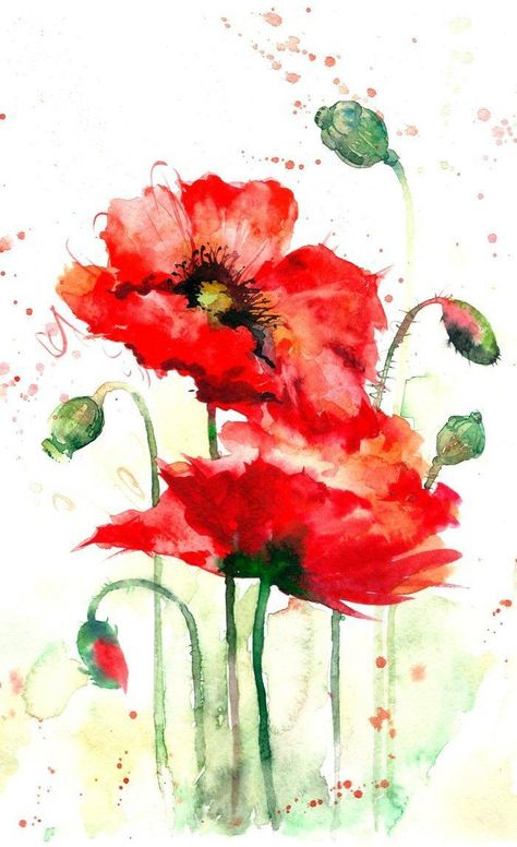 자작나무 그림, Watercolor Poppies, Poppy Art, Watercolor Paintings For Beginners, Poppy Painting, Watercolor Red, Soyut Sanat Tabloları, Watercolor Flower Art, 수채화 그림