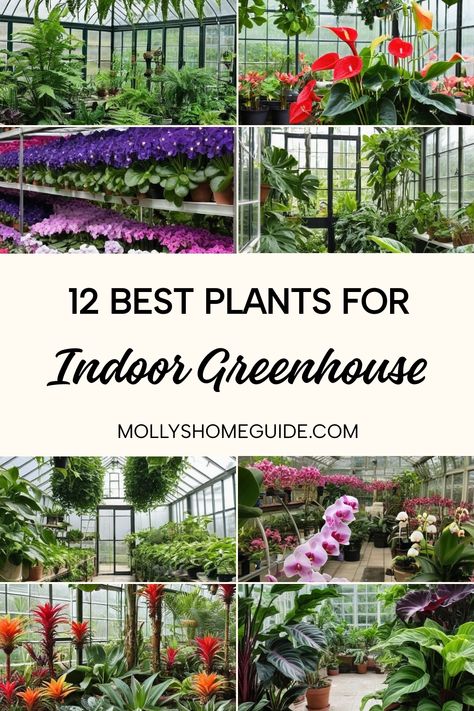 Discover the best plants for an indoor greenhouse with these clever indoor gardening ideas. Whether you're into DIY indoor greenhouses or seeking inspiration for a more compact space with mini or portable versions, there's a plant-friendly solution for every home. Learn how to grow plants in unheated greenhouses and explore vertical indoor gardening options. From stylish IKEA greenhouse cabinets to efficient hydroponic systems, elevate your indoor garden game and create a thriving oasis inside y Greenhouse Cabinets, Indoor Gardening Ideas, Ikea Greenhouse, How To Grow Plants, Hydroponic Systems, Indoor Greenhouse, Eco Friendly Garden, Garden Games, Greenhouse Growing