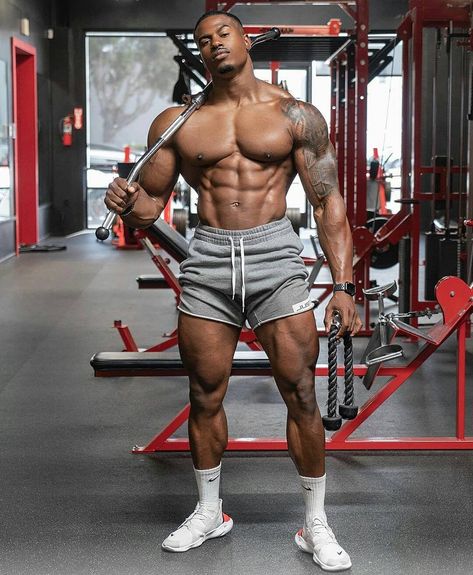 Panda Aesthetic, Simeon Panda, Gym Rats, Gym Couple, Military Press, Fitness Advice, Hard Work And Dedication, Fitness Trainer, Train Hard