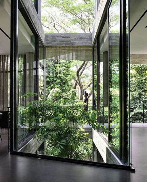 Frame Within A Frame, Singapore House, Atrium House, Atrium Design, Glass Walls, Natural Ventilation, Patio Interior, Interior Garden, House Layouts