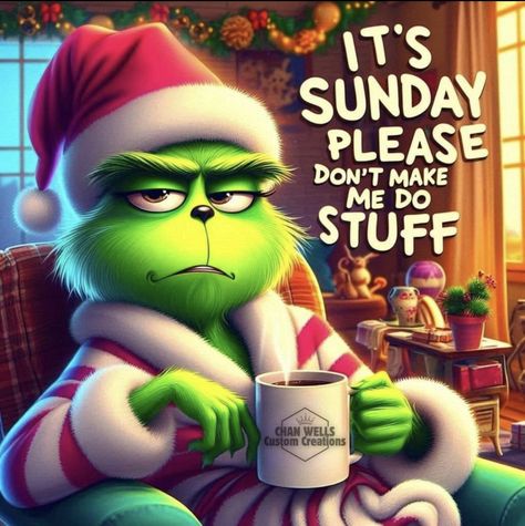 Grinch Humor Hilarious, Xmas Funny Quotes, Grinch Sayings, Grinch Memes, The Grinch Pictures, Holiday Meme, Grinch Images, Christmas Sunday, Funny Grinch