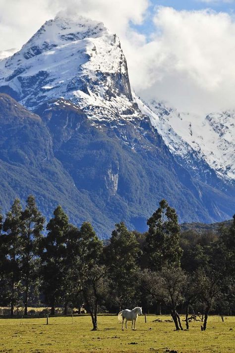 Glenorchy, New Zealand. God help the travel companion who will suffer my LOTR quoting, should I ever get to New Zealand. Nee Zealand, Nz Scenery, Glenorchy New Zealand, Nz Landscape, Manual Driving, New Zealand South Island, Oceania Travel, Divine Nature, New Zealand Travel