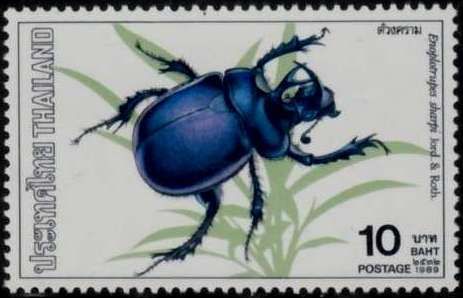 Vintage Post Stamps, Jewel Beetle, Longhorn Beetle, Pet Scrapbook, Wild Art, Cat Stamp, Post Stamps, Postage Stamp Art, Beautiful Bugs