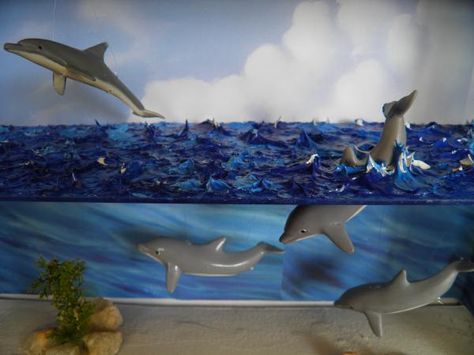 Diorama Ideas | Here is what Patricia has to say about the making of this diorama: Shoe Box Diorama Ocean, Dolphin Diorama Projects For Kids, Dolphin Habitat Diorama, Dolphin Diarama Ideas Kids, Dolphin Diorama, Shoebox Habitat, Shark Diorama, Underwater Diorama, Ecosystems Diorama