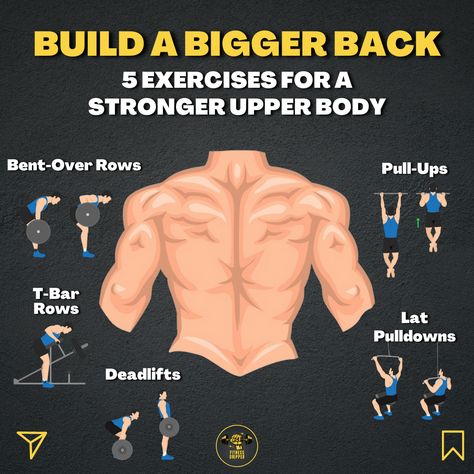 Infographic on how to build a bigger back with 5 exercises for a stronger upper body. T Bar Row, Strong Back, Body Strength, Build Strength, Upper Body Strength, Back Workout, Upper Body Workout, Achieve Your Goals, Pull Ups