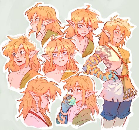 Link Fanart, Link Botw, Little Misfortune, Link Art, Hyrule Warriors, Link Zelda, Zelda Art, Legend Of Zelda Breath, Zelda Breath