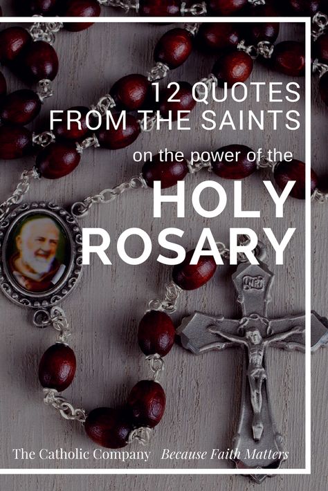 Why You Should Pray a Daily Rosary: 12 Famous Quotes from the Saints | The Catholic Company® Daily Rosary, Rosary Quotes, Crown Of Glory, Knowing The Truth, Saying The Rosary, Pray Daily, Saints Quotes, After Earth, Save Your Soul