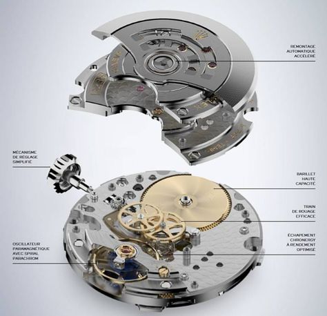 Rolex Caliber 3235 In-Depth Guide - Millenary Watches Watches Movement, Horology Design, Clock Repair, Old Technology, Buying Gold, New Rolex, Sea Dweller, Watch Repair, Watch Lover