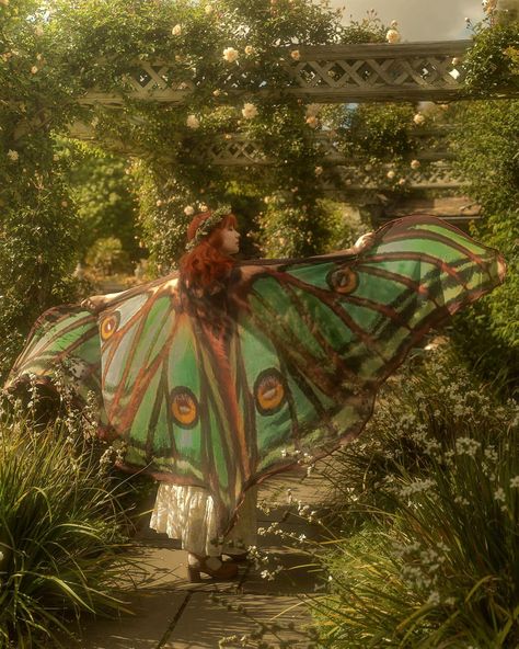 Sara🌿 | 🌿🦋🌱✨ Luna moth wings @costureroreal (gifted) | Instagram Luna Moth Wings, Caterpillar Costume, Most Creative Halloween Costumes, Whimsical Photography, Enchanted Forest Birthday, Cottagecore Witch, Faery Queen, Winged Girl, Autumn Witch