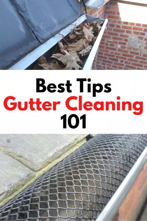 How To Clean Gutters, Gutter Cleaning Tool, Installing Exterior Door, Pressure Washing Business, Diy Gutters, Cat Urine Smells, Gutter Cleaner, Lights Diy, Gutter Cleaning