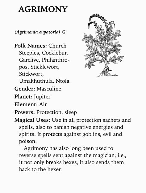 Agrimony Magical Properties, Protection Spells, My Spirit, Negative Energy, Alchemy, Aspen, Witch, Energy