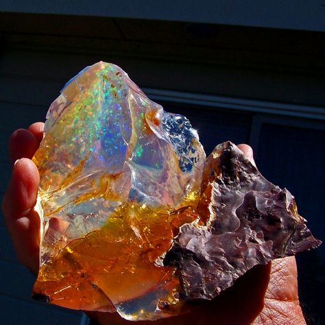 Outstanding Rough Opal From Oregon, US - Types of opal  photo: Amazing Geologist page on facebook  Opal  is a hydrated amorphous form of silica (SiO2·nH2O), Because of its  amorph... Gem Hunting, Visit Oregon, Jelly Opal, Fossil Hunting, Crystals Gems, Rock Hunting, Geology Rocks, Types Of Opals, Pretty Rocks